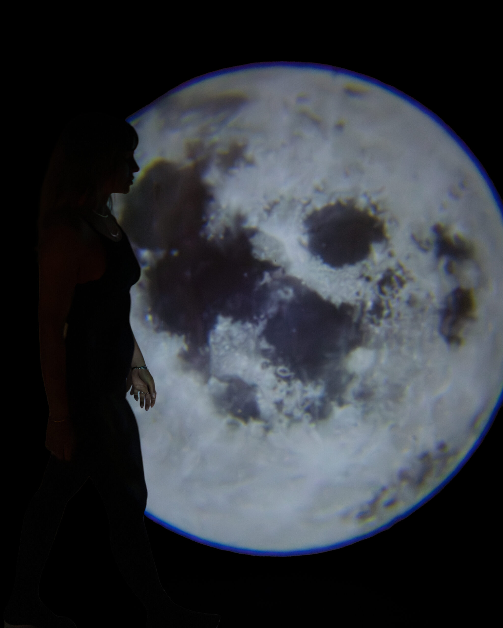 minalard_home_slider.1.7